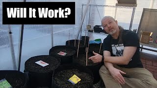 Greenhouse Electroculture Experiment Part 1- The Setup by Casual Gardening with Dustin 892 views 2 months ago 15 minutes