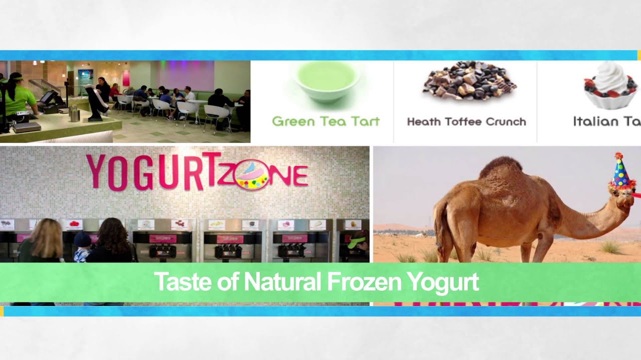 Yogurt Zone! A FUN Family Place YouTube