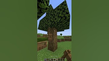 Minecraft: Functional Hammock | #shorts