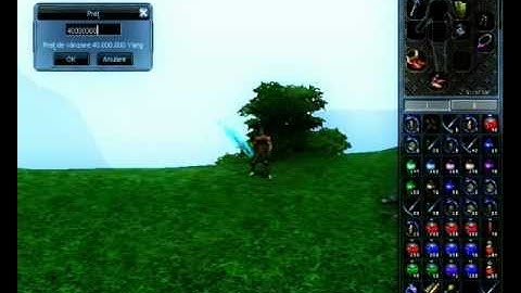 Cum sa pui inel de exp in shop  Metin2