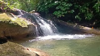Relief Your Stress With The Soothing Sound Of Waterfalls - Relaxing Nature Sounds