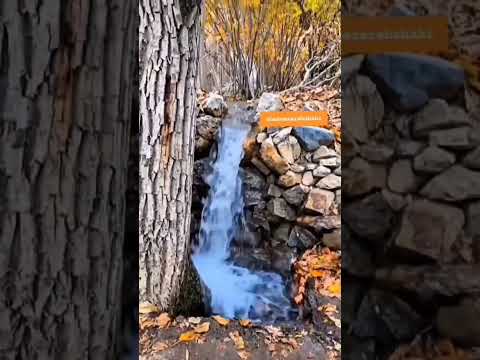 به خال لبت ای دوست گرفتار شدم