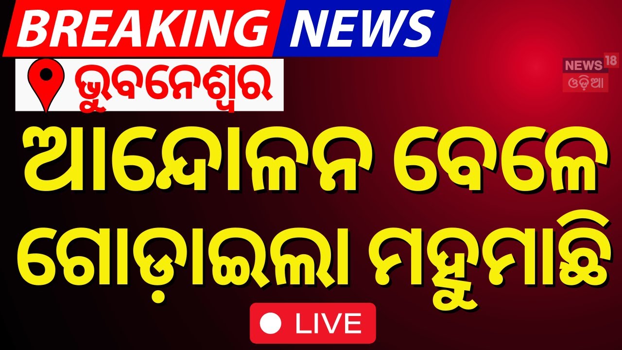 LIVE |ଭୁବନେଶ୍ବରରେ ଆନ୍ଦୋଳନ ବେଳେ ଗୋଡ଼ାଇଲା ମହୁମାଛି|Bees Attack During Congress Protest In Bhubaneswar