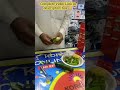 Video Image