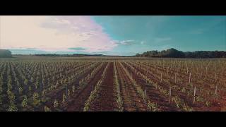 Domaine La Tour Beaumont - vue du ciel