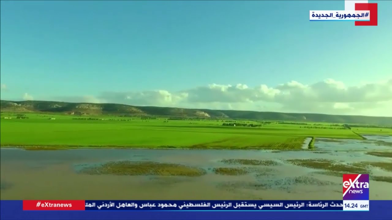 النشرة المغاربية| مدينة المرج الليبية 