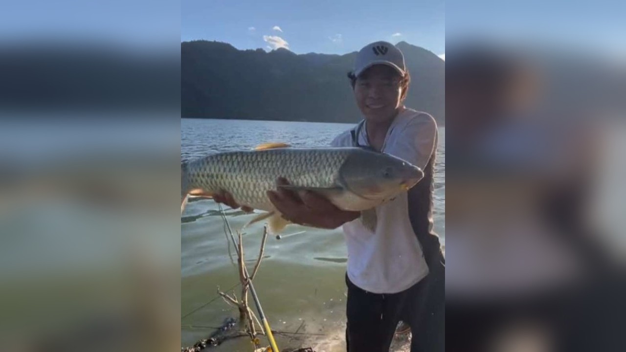 荒山野岭坚守两天两夜，终于守到大草姨了，事实证明选位比技术更关键，