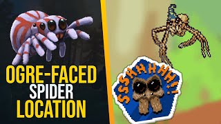 How to find the Ogre-Faced Spider in Webbed!