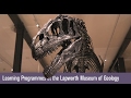 Learning programmes at the lapworth museum of geology