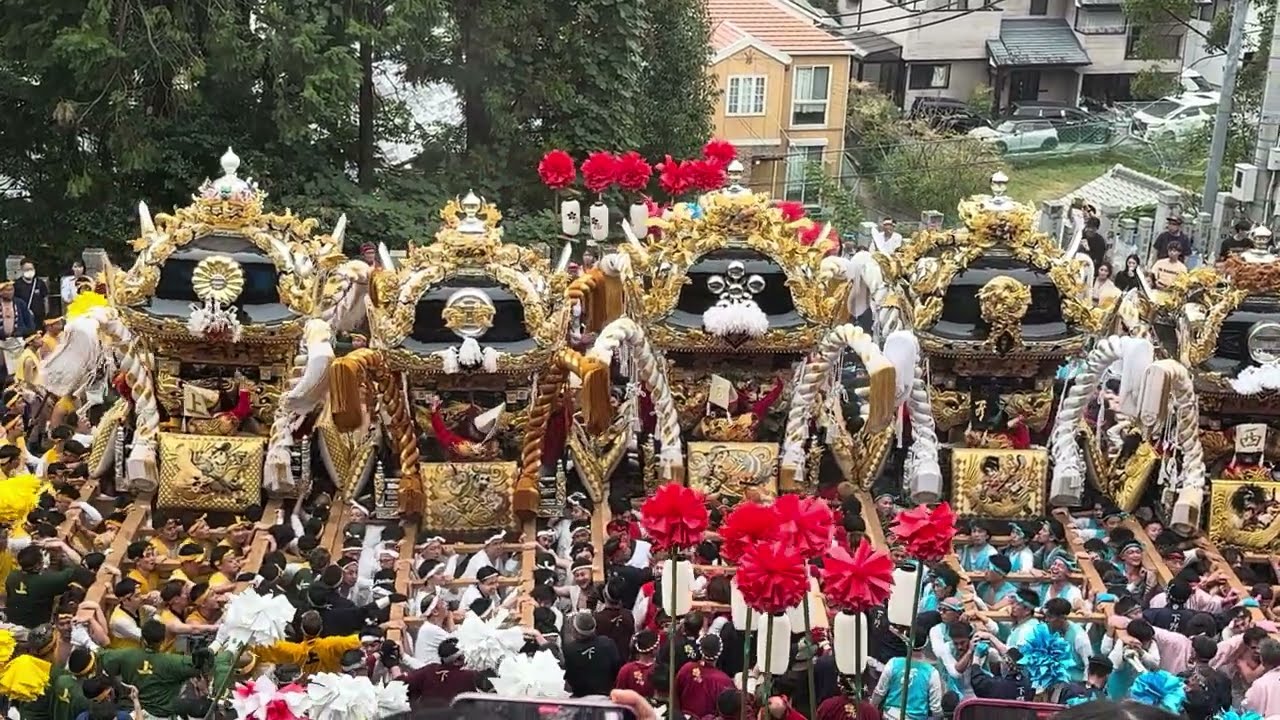 【山から視点】2025年 蒲田神社 本宮 5台練り合わせ #播州秋祭り #蒲田神社秋祭り #西蒲田 #上蒲田 #下蒲田 #下野 #西夢前台4丁目 