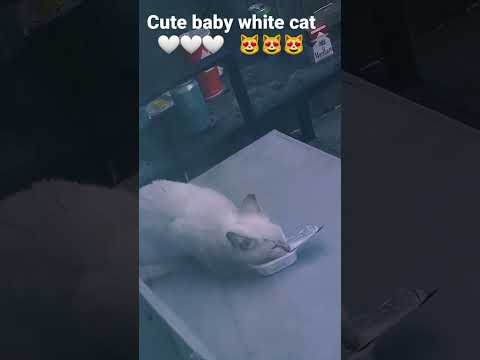 Awwwwww that's so