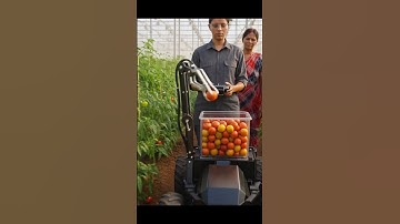 #AI Robot Harvesting Tomatoes | Smart Farming Technology #farming