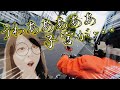 【3分動画】SR女子がハーレーの後ろに乗ってみたらガチ衝撃的だった!!!!【スポーツスター】