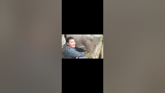 Балдағы секс порно фильм