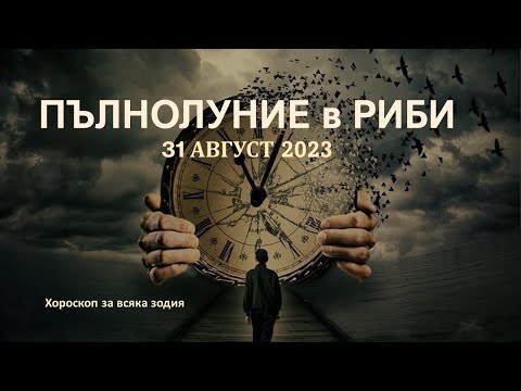 Видео: Затворени ли са данъчните служби до средата на февруари?