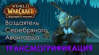 Воздаятель Серебряного Авангарда, трансмогрификация Wow (Паладин)