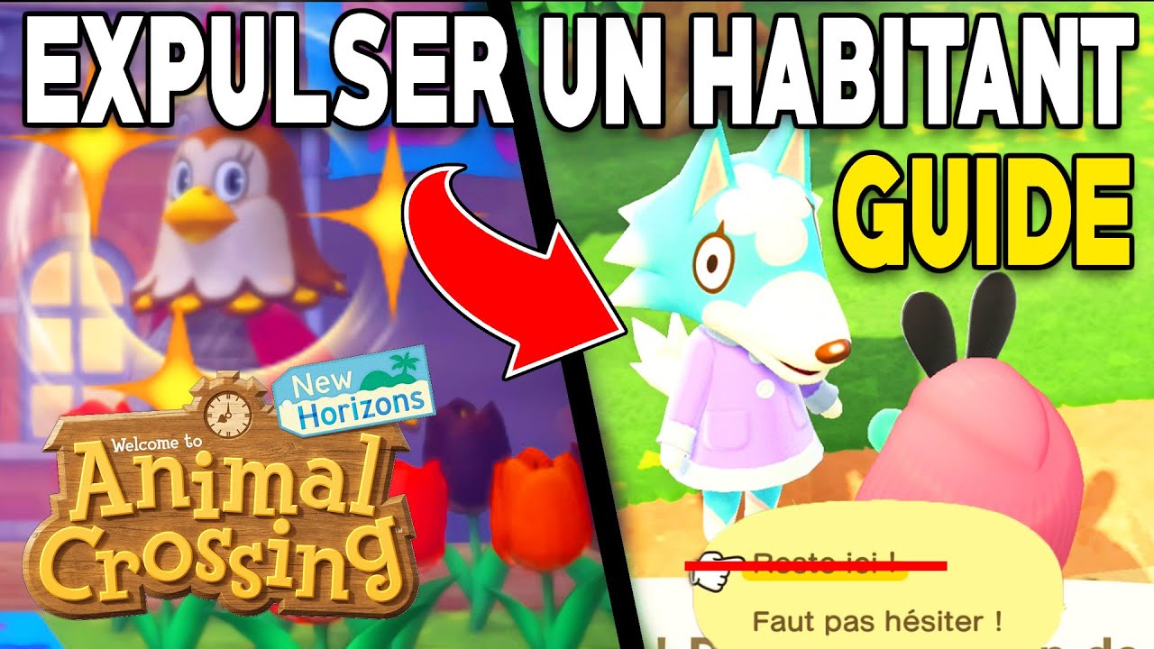 Comment Virer Un Habitant Animal Crossing New Horizon