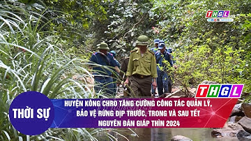 Huyện Kông Chro tăng cường công tác quản lý, bảo vệ rừng dịp trước, trong và sau Tết Nguyên đán