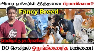 அரை ஏக்கரில் ஒருங்கிணைந்த பண்ணை! வெளிநாட்டு ரக பிராணிகள்! #farm #animalsfarm #animals #farming