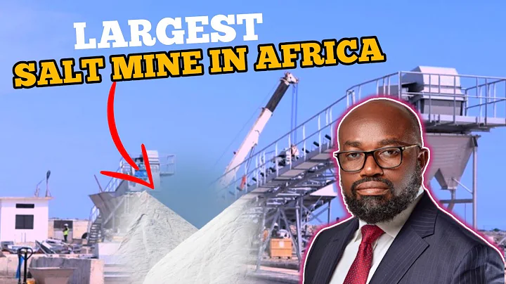 How A Ghanaian Billionaire Built The Biggest Salt Mine Production In Africa
