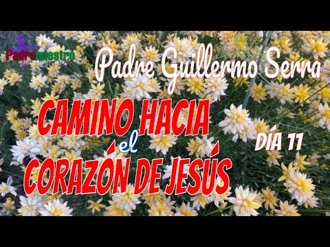 ᐅ CAMINO HACIA EL CORAZÓN DE JESÚS | Día 11 - Santísima Trinidad con el PADRE GUILLERMO SERRA