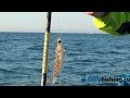 Морская рыбалка в Болгарии