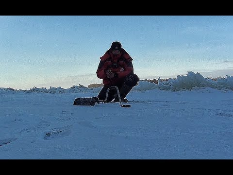 ПЕРВОЛЕДЬЕ В ТОРОСАХ!!!! СУДАК И ОКУНЬ НА БАЛАНСИР!!! Рыбалка на Алтае.