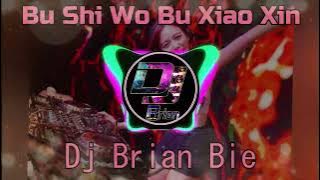 Bu Shi Wo Bu Xiao Xin 不是我不小心 Remix By Dj Brian Bie