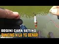 CARA SETTING PANCING NILA YG BENAR||agar selalu dapat banyak.