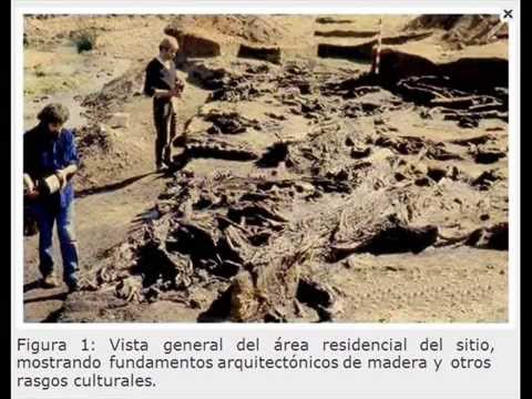 Sitio arqueolgico de Monte Verde, comuna de Puerto Montt. Declarado Monumento Histrico de Chile.