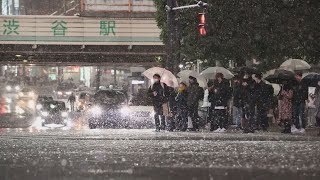 都心、1年9カ月ぶり積雪   6センチ観測、大雪警報発表