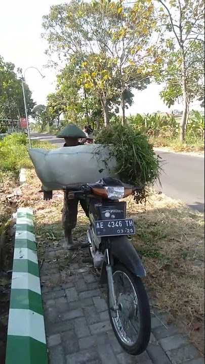Tukang cari rumput, kuat angkat sendiri rumput satu sak #shorts #tukang #grass