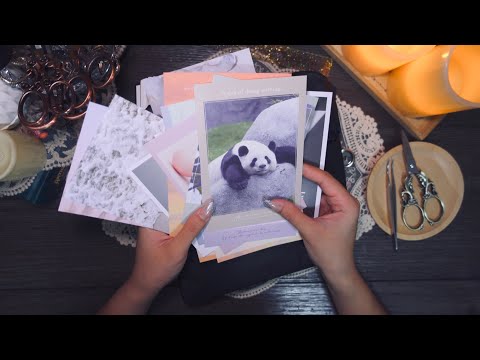 ASMR | Flowers and cute Animals for today | scrapbooking | journaling | papersound#scrapbooking