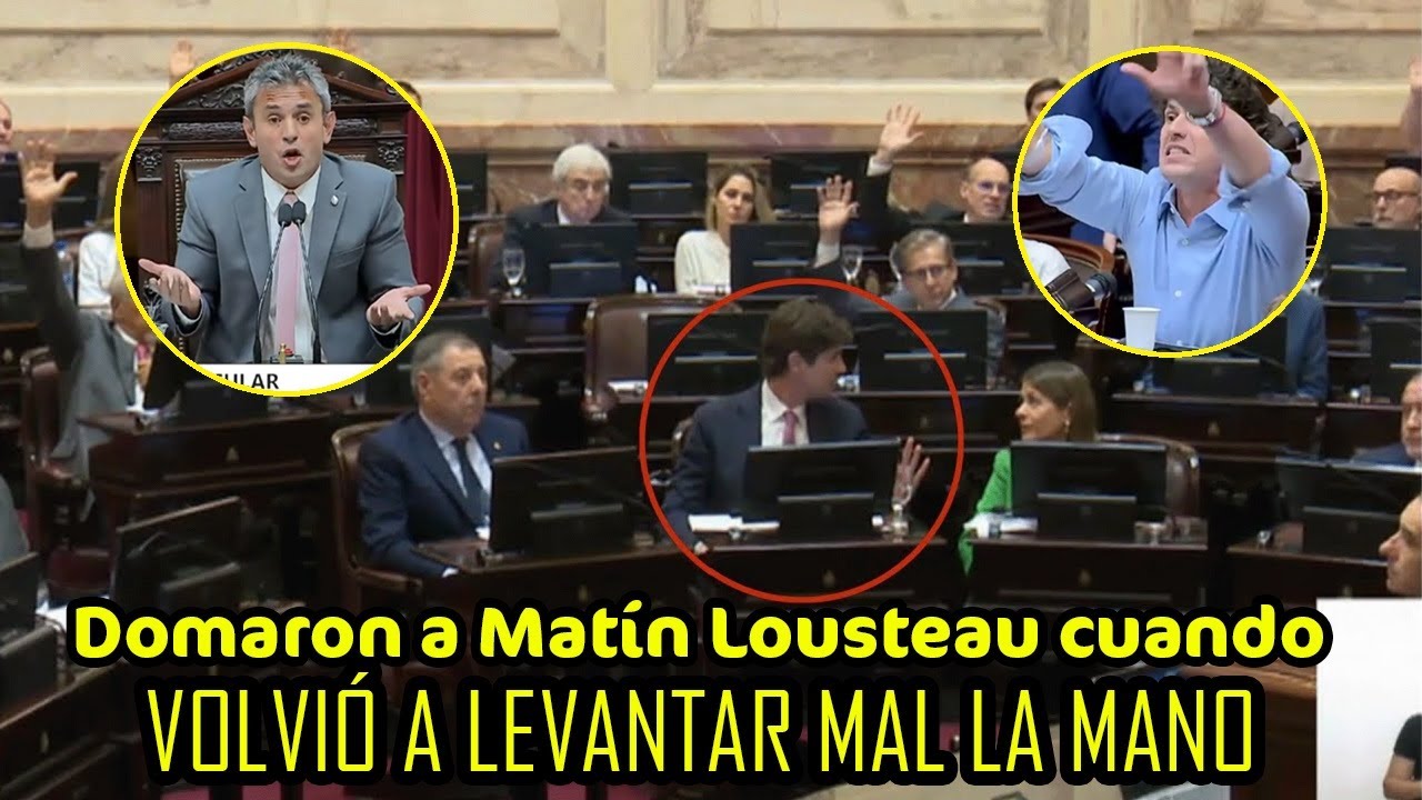Martín Lousteau volvió a levantar la mano y lo domaron