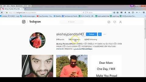 GramDominator   User Follower