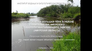 Доклад гидробиолога Надежды Яворской о состоянии р. Б. Пера в районе строительства Амурского ГПЗ