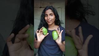 മൊത്തതിൽ പൊട്ടി തെറിച്ചു ഒരു അച്ചാറിടാ൯ പോയത #pickle #shortsfeed #shorts #short #mango #manga