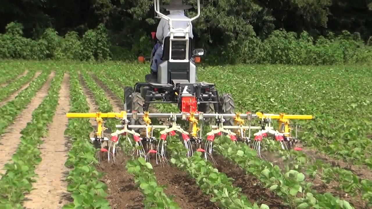 大豆除草　アイサイカ　Cultivator　【キュウホー　ASHORAGRI】