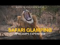 Safari AfriCamps in Hoedspruit Experience / Wild Life Encounters