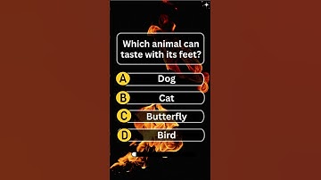 Gk questions in English |  | Trivia game questions | English Quiz Game