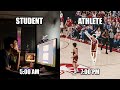Studying Abroad in Japan