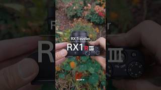 작지만 선명하게, RX1R3로 기록하는 여행 – RX Traveler (체코 체스키크롬로프 ③)