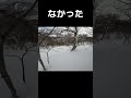バックカントリー・カモシカのカップルに遭遇した #shorts