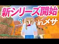 新ワールドが資源の少ないメサでパニック!【マインクラフト・マイクラ実況】#1