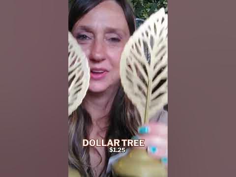 NEW Finds Dollar Tree Grab Now Before its GONE #haul #dollartreehaul #