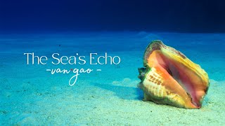 The Sea's Echo- 1 hour Ambient Music for Relaxation, Deep sleep, Spa, Yoga, Meditation.
