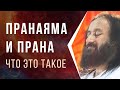 Пранаяма и прана. Что это такое