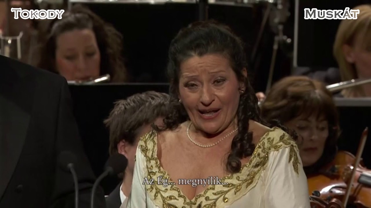 Tokody Ilona-Muskát András: Verdi: Aida - Aida és Radames duettje - YouTube