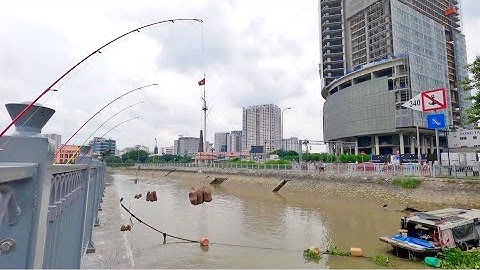 ✅ 55 phút cám DF thử sức câu cá thiên nhiên Sông Sài Gòn | DUY FISHING