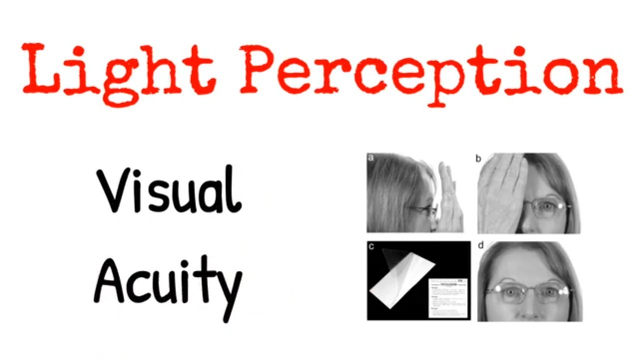 Vie Pligt Ligner Light Perception Visual Acuity - YouTube